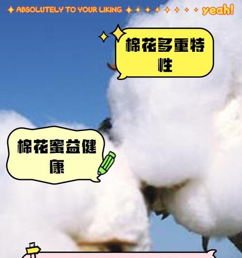 棉花的种植方法与步骤有哪些？