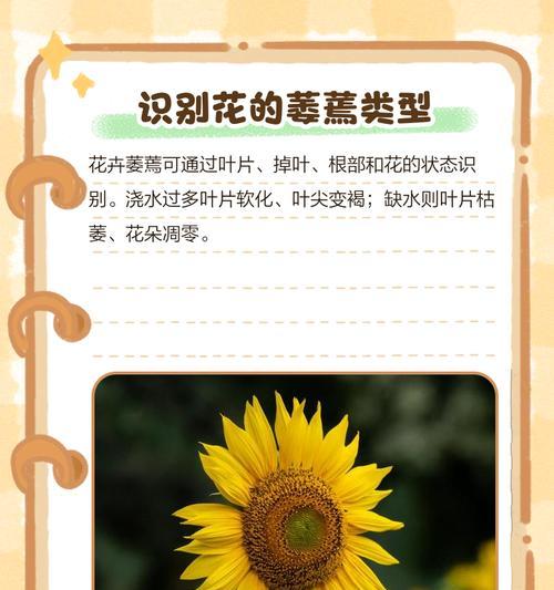 花卉底部叶片干枯怎么办？