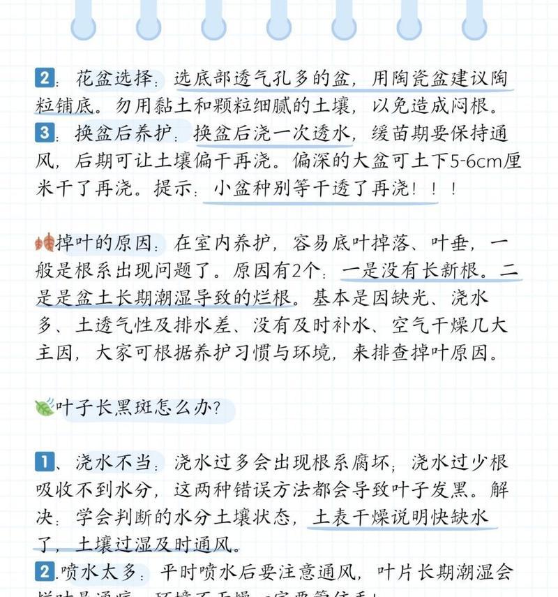 橡皮树盆栽植物有毒吗？如何安全养护？