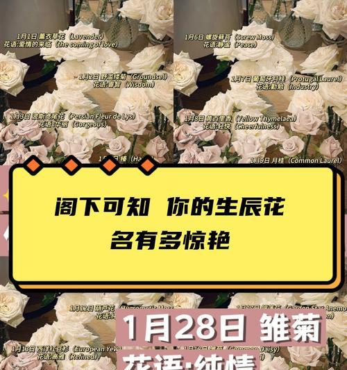 桂花树有哪些品种？各自的特性是什么？