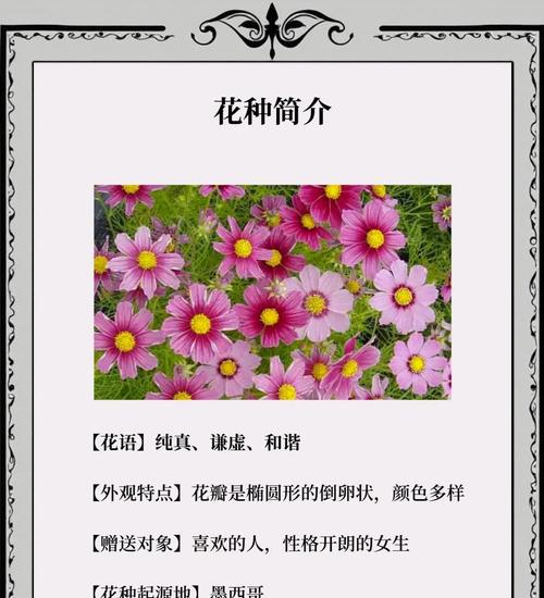 波斯菊花期大概几个月？如何延长花期？