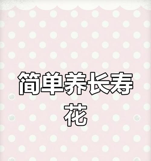 长寿花养护全指南有哪些？新手必读的养花秘诀是什么？