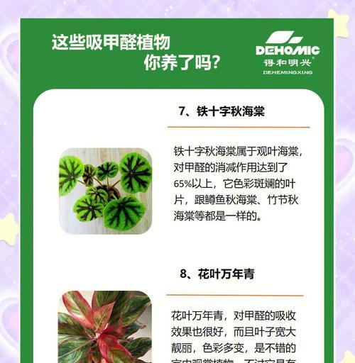 哪些绿色植物可以防甲醛？防甲醛植物的养护方法是什么？