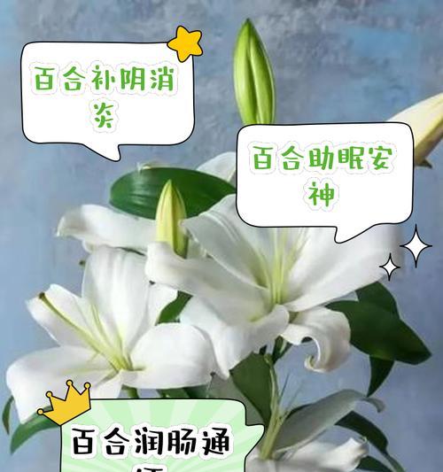 百合是什么植物？百合的特征和用途有哪些？