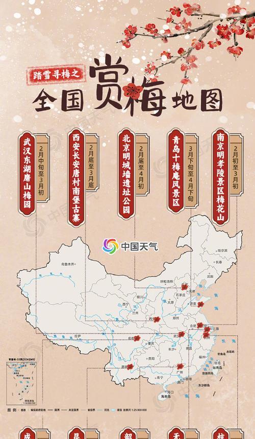 腊梅和梅花有什么不同？腊梅和梅花的区别是什么？