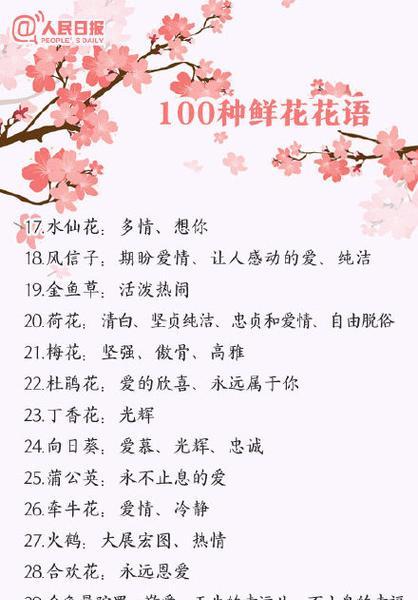 球兰如何养护？从繁茂生长到休养生息的养护技巧是什么？
