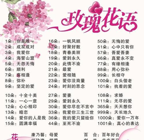球兰如何养护？从繁茂生长到休养生息的养护技巧是什么？