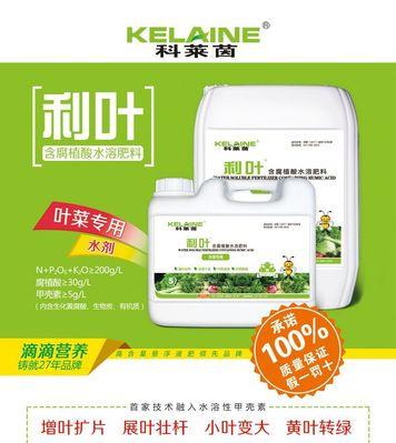 腐植酸肥料在橡皮树栽培中如何应用？