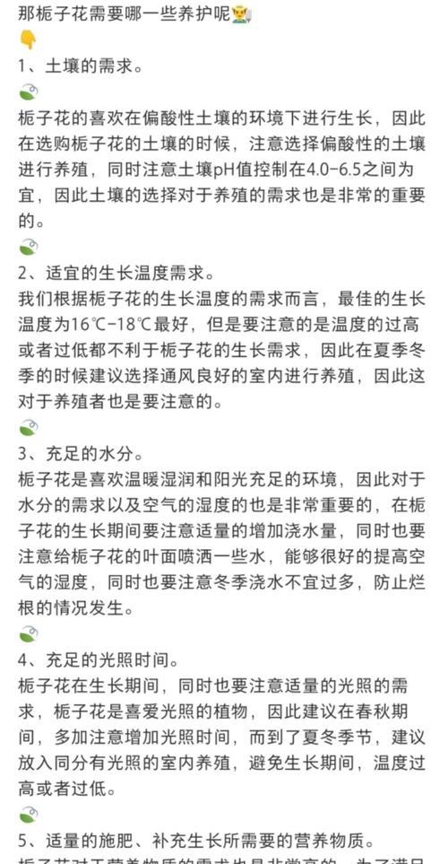 栀子花如何养护？有哪些养护技巧？