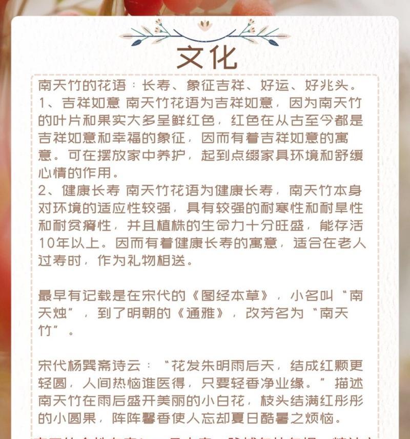 红宝石南天竹怎么养？养护指南是什么？