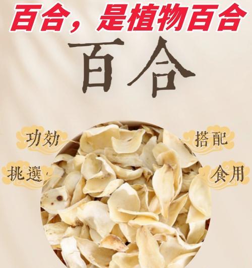 百合属于什么植物？有哪些种类？