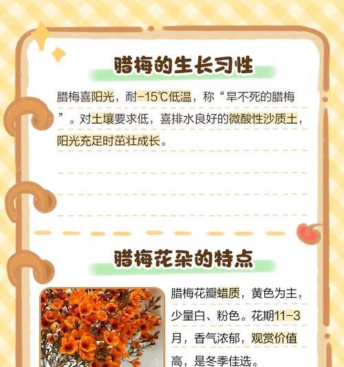 腊梅花几月开花？腊梅花的养护技巧有哪些？