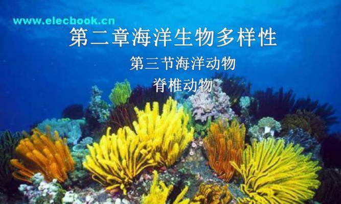 鱼类繁殖方式有哪些多样性？探讨鱼类繁殖方式的多样性是什么？