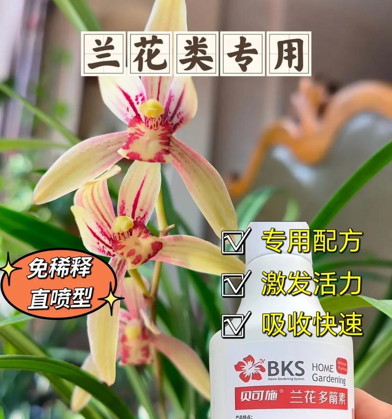兰花DOU+小助手如何使用？有哪些功能？