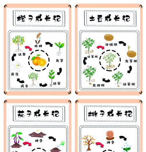 西红柿种子怎样催芽？有哪些有效的方法？
