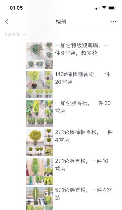 盆栽指南中包含哪些基础要点和制作技巧？