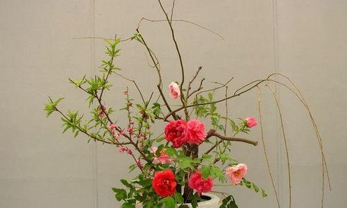 牡丹花泥插花的养护技巧是什么？