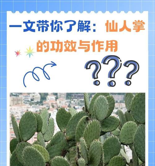仙人掌如何长出豹纹状的叶子？
