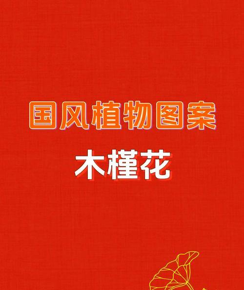 仙人掌木槿花怎样才能开花？
