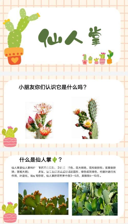 琥珀馆仙人掌应该怎么种？
