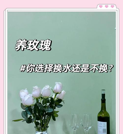 玫瑰花怎么养才能时间更久？
