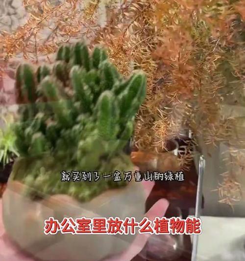不用仙人掌如何浇花的小窍门是什么？浇花有哪些不需要仙人掌的小技巧？