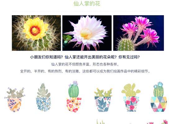 彩球仙人掌的繁殖方法是什么？有哪些步骤？