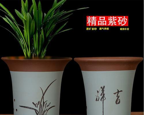 购买君子兰的花盆应该注意什么？如何选择合适的花盆？