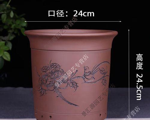购买君子兰的花盆应该注意什么？如何选择合适的花盆？