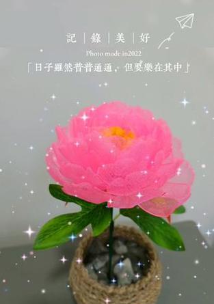 珍珠纱牡丹花的养护方法是什么？如何保持其鲜艳？