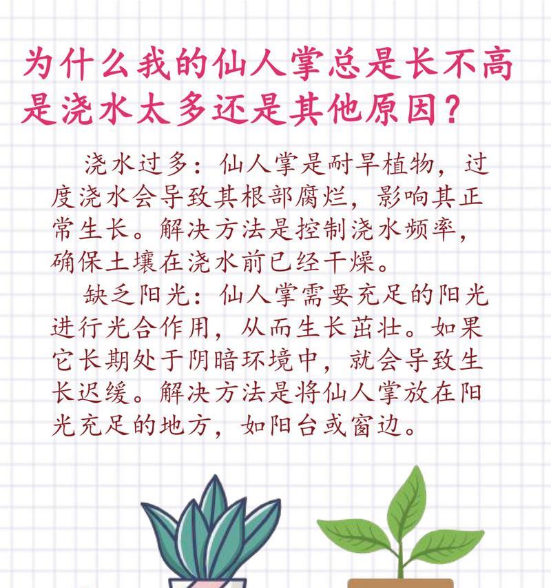 仙人掌适合施用什么肥料？浇水频率应如何掌握？