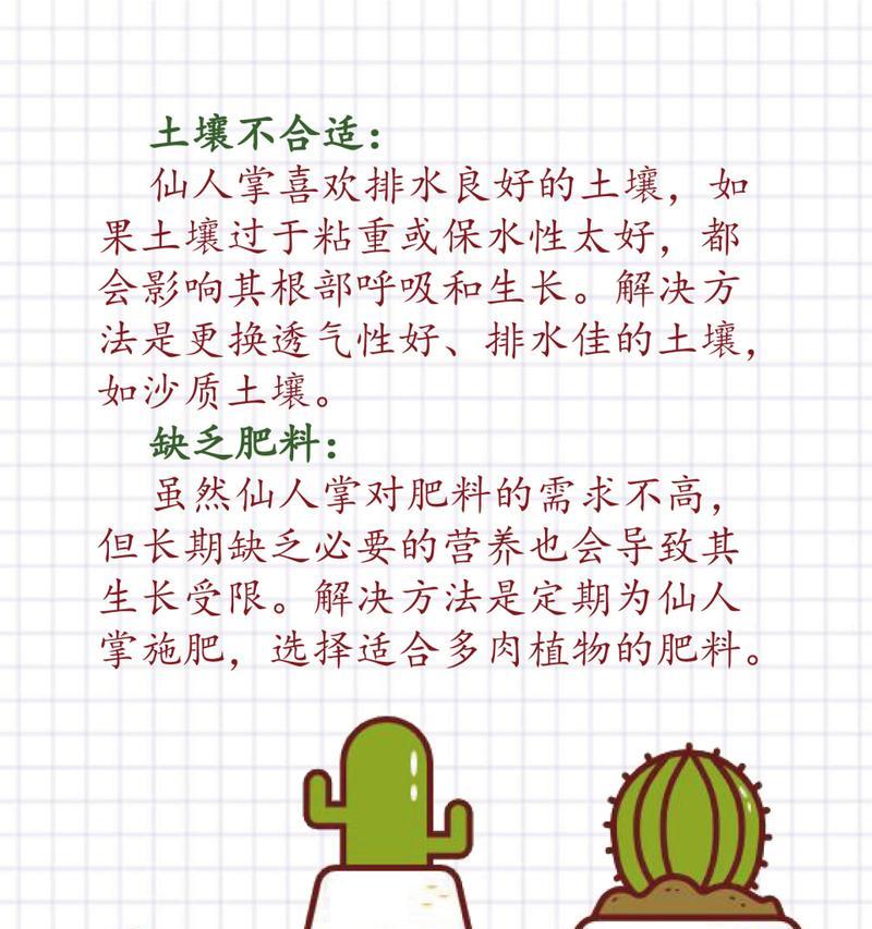 仙人掌适合施用什么肥料？浇水频率应如何掌握？