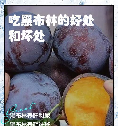 玫瑰花黑布林怎么养殖方法？黑布林玫瑰的正确养护技巧是什么？
