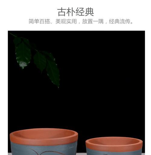 仙人球红花瓶怎么种植？红花瓶仙人球的种植步骤是什么？