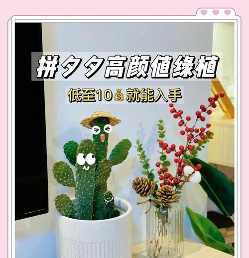中华仙人掌如何培养才能多生侧芽？