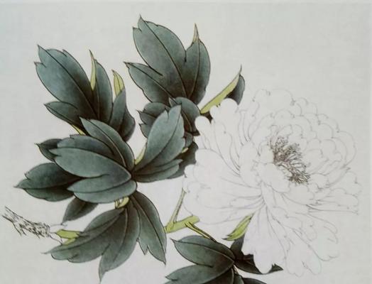 如何正确剪下一束牡丹花？