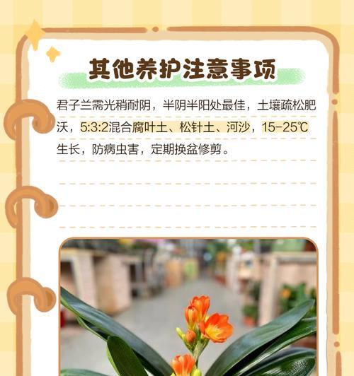 整盆君子兰的养护与浇水技巧是什么？