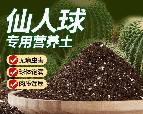金虎仙人球的最佳栽种方法是什么？