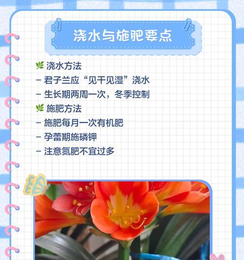 君子兰龙舌芦荟的养护与管理方法是什么？