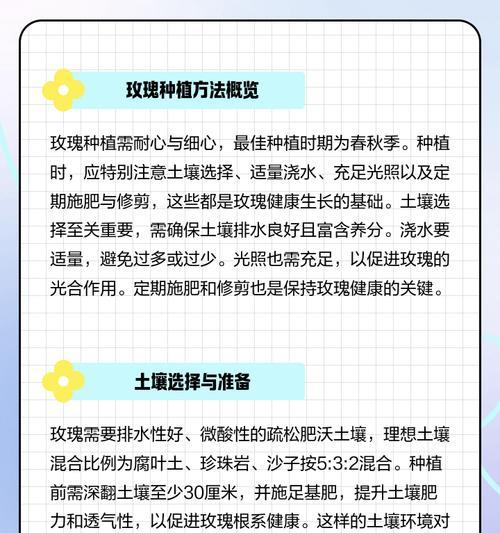 购买的玫瑰花应该如何正确种植？
