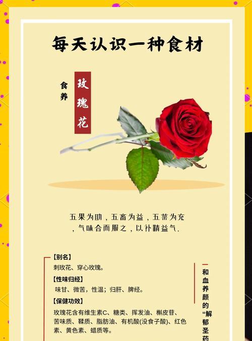 如何正确养护很小束的玫瑰花？