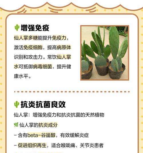 冬季水培仙人掌的存活与养护方法？