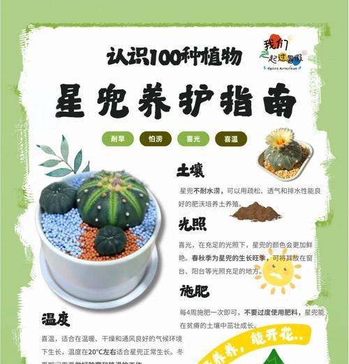 室内仙人掌苗过冬技巧有哪些？