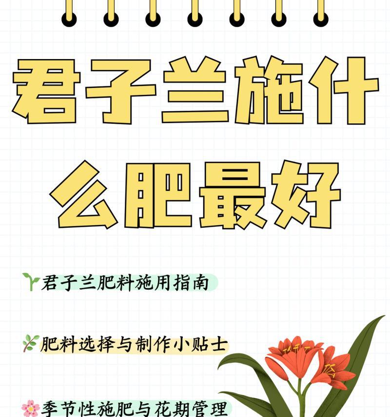 君子兰施肥需求如何判断？何时施肥合适？