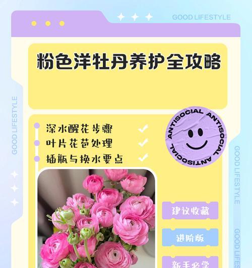 牡丹花盛开期养护要点有哪些？