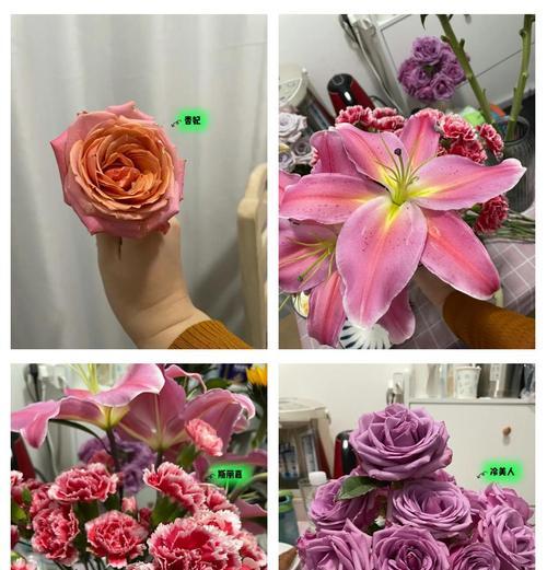 如何正确养护玫瑰花以达到养儿防老的效果？