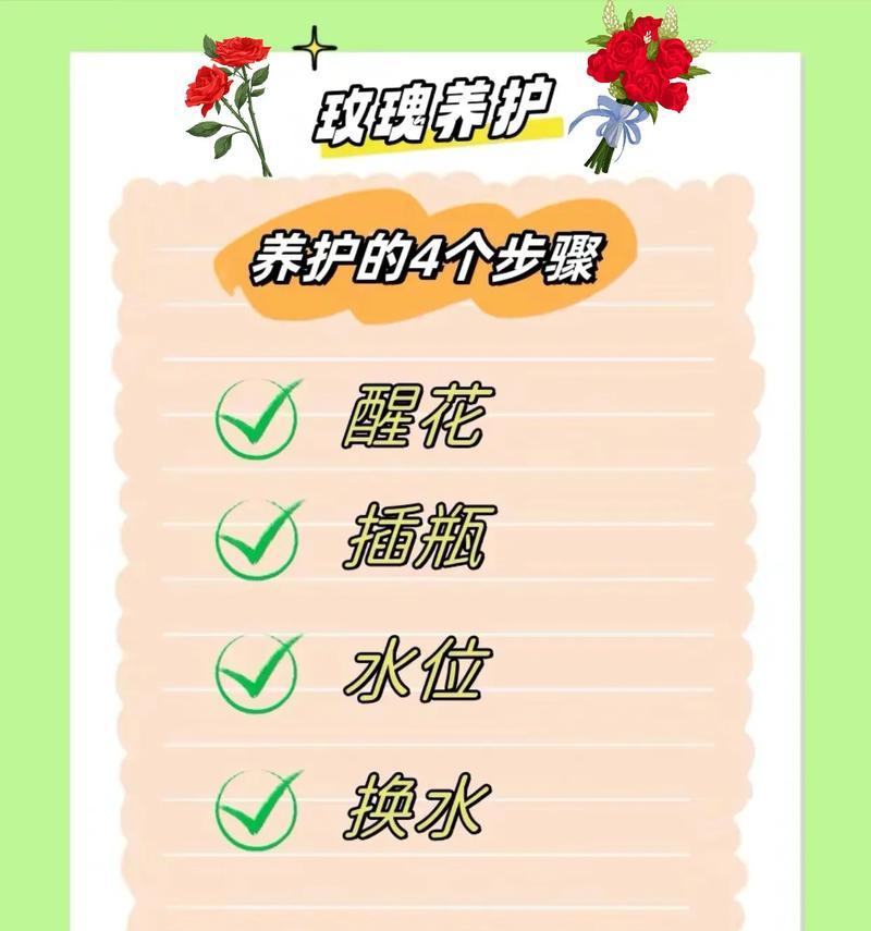 如何正确养护玫瑰花以达到养儿防老的效果？