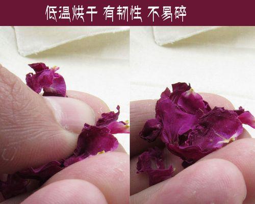 玫瑰花干花瓣脱落的原因是什么？