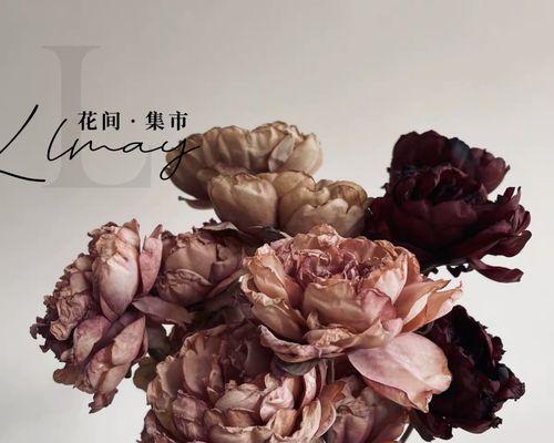 哪种药物能治疗牡丹花枯萎？使用方法是什么？