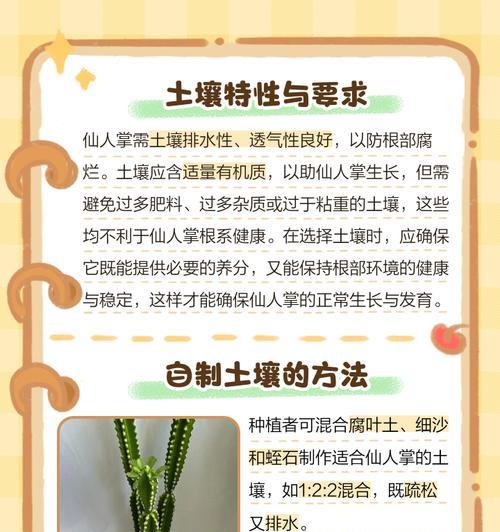 仙人掌如何一起种植？